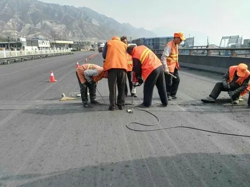 柳州道路桥梁病害治理